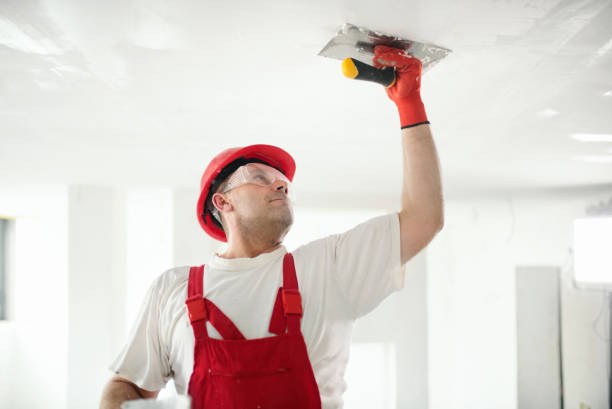 Best Drywall Removal and Disposal  in Point Venture, TX